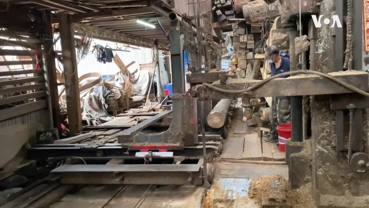 Hong Kong Sawmill Resists Authorities Eviction