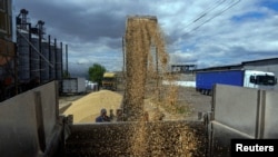 A worker loads a truck with grain at a terminal during barley harvesting in Odesa region, Ukraine, June 23, 2022, as Russia's attack on its neighbor continues.