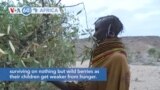 VOA60 Africa - Kenya: People of Purapul edging closer to starvation