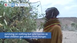 VOA60 Africa - Kenya: People of Purapul edging closer to starvation