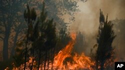 Las llamas se elevan en un incendio forestal cerca de Louchats, a 35 kilómetros (22 millas) de Landiras en Gironde, suroeste de Francia, el lunes 18 de julio de 2022. Francia envió más aviones bombarderos y cientos de bomberos más para combatir los incendios forestales que se propagaban el lunes por una ola de calor abrasador que asa gran parte de Europa. Con los vientos cambiando de dirección, las autoridades del suroeste de Francia anunciaron planes para evacuar más pueblos y sacar a 3.500 personas que corren el riesgo de encontrarse en el camino de las llamas. (Philippe López/ vía AP)