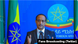 Amb. Meles Alem