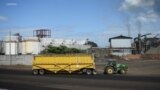 EEUU excluye a Nicaragua de sus importaciones de azúcar en nuevo año fiscal 