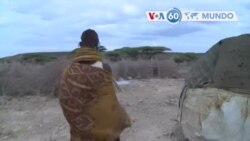 Manchetes mundo 22 julho 2022: No Quénia: povo de Purapul aproxima-se de situação de fome,