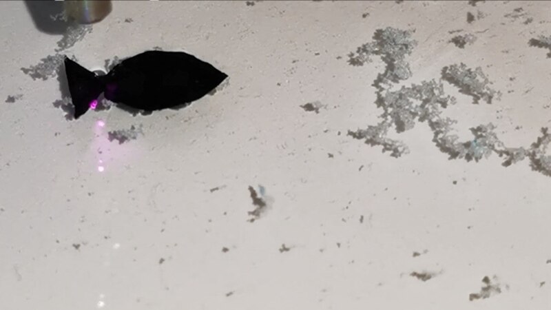 Scientists Develop Robotic Fish to ‘Eat’ Microplastics