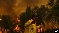 Un pompier réagit alors qu'il tente d'éteindre un incendie de forêt causé par des températures extrêmes à Larache, dans le nord du Maroc, le 15 juillet 2022.