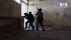 Як іноземні добровольці готують українських бійців до участі у бойових діях. Відео