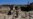 Earthquake Injures Dozens, Destroys Hundreds of Homes in Afghanistan