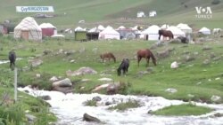 Orta Asya’nın Vazgeçilmez İçeceği: Kımız 