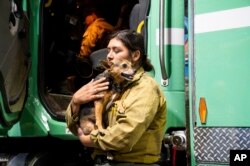 Firefighter Joanna Jimenez holds a dog she found wandering in a fire evacuation zone as the Oak Fire burns in Mariposa County, Calif., July 23, 2022.