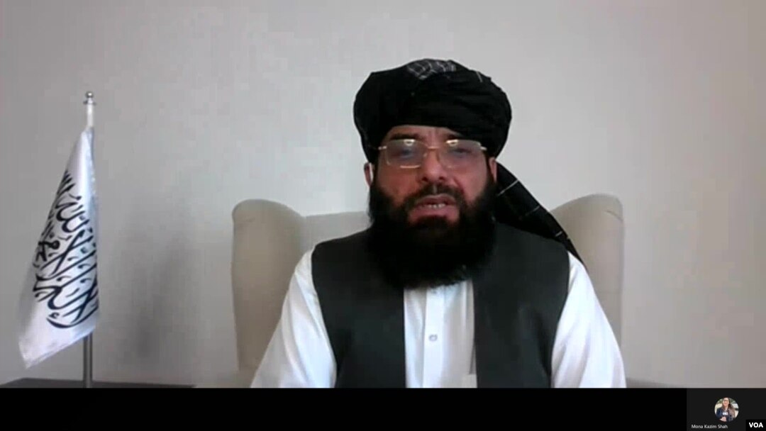 په قطر کې د طالبانو د دفتر ترجمان سهېل شاهین