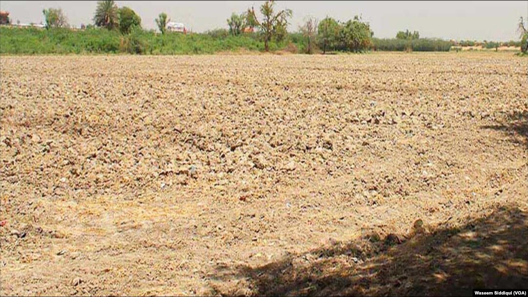 کل تک زرخیر کہی جانے والی زمینیں آج بارش کی منتظر ہیں