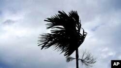 "El huracán se moverá peligrosamente cerca de la costa este de Florida desde lunes por la noche hasta martes por la noche", advirtió el Centro Nacional de Huracanes de EE.UU.