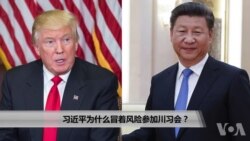 习近平为何冒风险参加川习会？