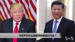 习近平为何冒风险参加川习会?