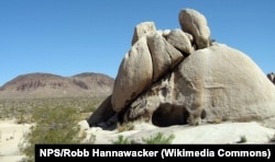 Formerly known as S---w Tank, this rock depression in California's Joshua Tree National Park has been renamed Paac Kü̱vü̱hü̱’k.