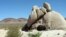 Sq---w Tank, a rock depression in California's Joshua Tree National Park is on the list of hundreds of derogatory place names to be renamed. 