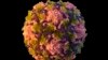 FILE - This 2014 illustration from the U.S. Centers for Disease Control and Prevention depicts a poliovirus particle. The virus has been found in New York City’s wastewater in another sign that the disease is spreading among the unvaccinated, health officials said Aug. 12, 2022.