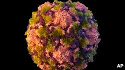 FILE - This 2014 illustration from the U.S. Centers for Disease Control and Prevention depicts a poliovirus particle. The virus has been found in New York City’s wastewater in another sign that the disease is spreading among the unvaccinated, health officials said Aug. 12, 2022.