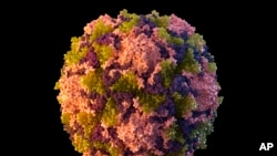 FILE - This 2014 illustration made available by the U.S. Centers for Disease Control and Prevention depicts a virus particle. 