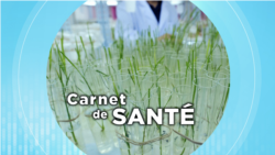 Carnet de santé : les aliments génétiquement modifiés