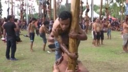 Indonesians Celebrate Independence Day with ‘Greasy’ Tree Trunk Climbing 