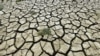 China Issues First National Drought Alert 