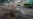 Latest Developments in Ukraine: August 29
