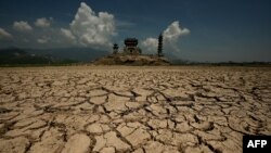 中国最大淡水湖鄱阳湖因干旱而大面积枯竭露出干裂的湖底，曾经的湖中小岛与陆地相连。（2022年8月24日）