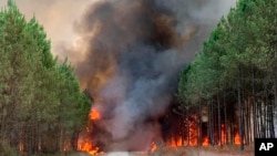 FILE - Photo provided by the fire brigade of the Gironde region SDIS 33, shows flames consume trees at a forest fire in Saint Magne, south of Bordeaux, Aug. 10, 2022.