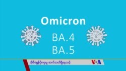 အိုမီခရွန်ပိုးကူးမှု ဆက်သတိရှိသင့် “လူထုနဲ့ ကျန်းမာရေး”