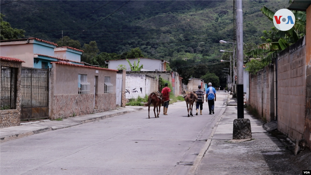 &ldquo;Hay más casas vacías que personas en el pueblo&rdquo;, agrega Antonio Coromoto, de 72 años, cronista de Montalbán, que ha pasado la mayor parte de su vida en este pueblo de Carabobo.