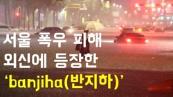 서울 폭우- 외신에 등장한 'banjiha(반지하)'
