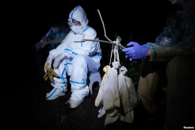 A researcher from the Institut Pasteur du Cambodge holds cloth bags containing bats captured at Chhngauk Hill in Thala Borivat District, Steung Treng Province, Cambodia, August 30, 2021. Picture taken August 30, 2021. (REUTERS/Cindy Liu)