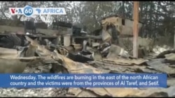 VOA60 Africa - Algeria: At least 26 killed in forest fires
