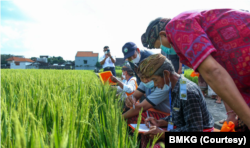Sektor Pertanian Indonesia Antisipasi Dampak Perubahan Iklim