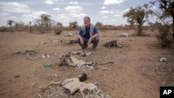 World Food Program chief David Beasley looks at carcasses of animals that died of hunger in the village of Wagalla in northern Kenya, Aug. 19, 2022.