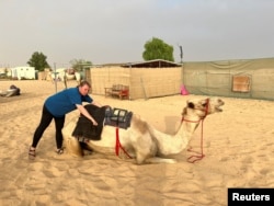 Pelatih unta Jana Schmiedel mempersiapkan unta sebelum menungganginya di Arabian Desert Camel Riding center di Dubai, Uni Emirat Arab 1 Agustus 2022. (REUTERS/Abir Al Ahmar)