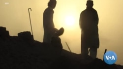 Is Climate Change Making Certain Places Too Hot to Live In?
