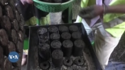 DRC: Wazee Bukavu waboresha maisha kwa kubuni utengenezaji mbadala wa mkaa