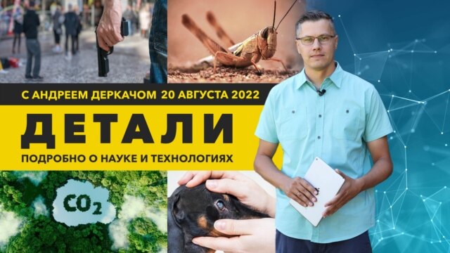 Саранча как оружие борьбы с раком и «третий глаз» у собак | «Детали» - Август 20, 2022 Саранча как оружие борьбы с раком и «третий глаз» у собак | «Детали» - Август 20, 2022