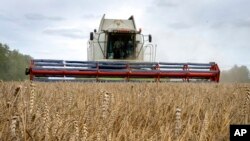 FILE - A harvester collects wheat in Zghurivka, Ukraine, Aug. 9, 2022. A ship docked in Ukraine Aug. 12, 2022, to pick up wheat for hungry people in Ethiopia, in the first food delivery to Africa under a U.N.-brokered plan to unblock grain trapped by Russ