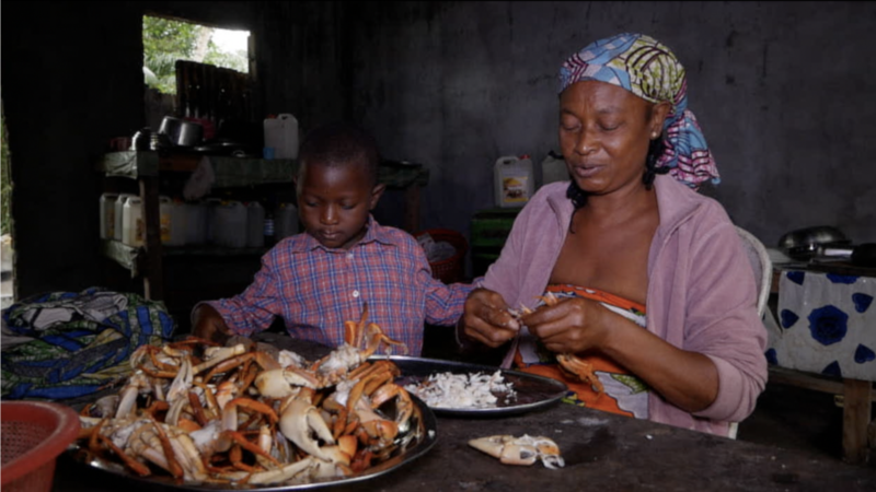 Les crabes de plus en plus rares dans les assiettes des Gabonais