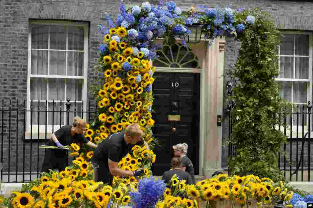 Florists prepare the entrance to 10 Downing Street in London with an arrangement in the Ukraine national colors, a day ahead of the Independence Day of Ukraine.