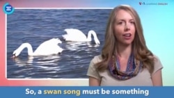 English in a Minute:Swan Song