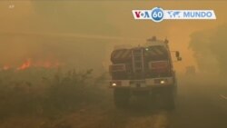 Manchetes mundo 12 agosto 2022: Mais de 1.000 bombeiros combatem incêndio no sudoeste da França