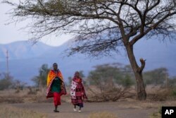 FILE - Maasai women walk towards the Oltepesi Primary School polling station to vote in Kajiado County, Kenya, August 9, 2022. (AP Photo/Ben Curtis)