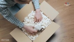 Խեցեմորթերի պատյանները՝ որպես փաթեթավորման համար օգտագործվող թունավոր փրփրապլաստի այլընտրանք