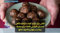 تلاش برای تولید گوشت آزمایشگاهی به دنبال افزایش تقاضا برای مصرف بیشتر در جهان و کمبود منابع