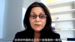 资深专家谈拜登对华战略与美中关系走向